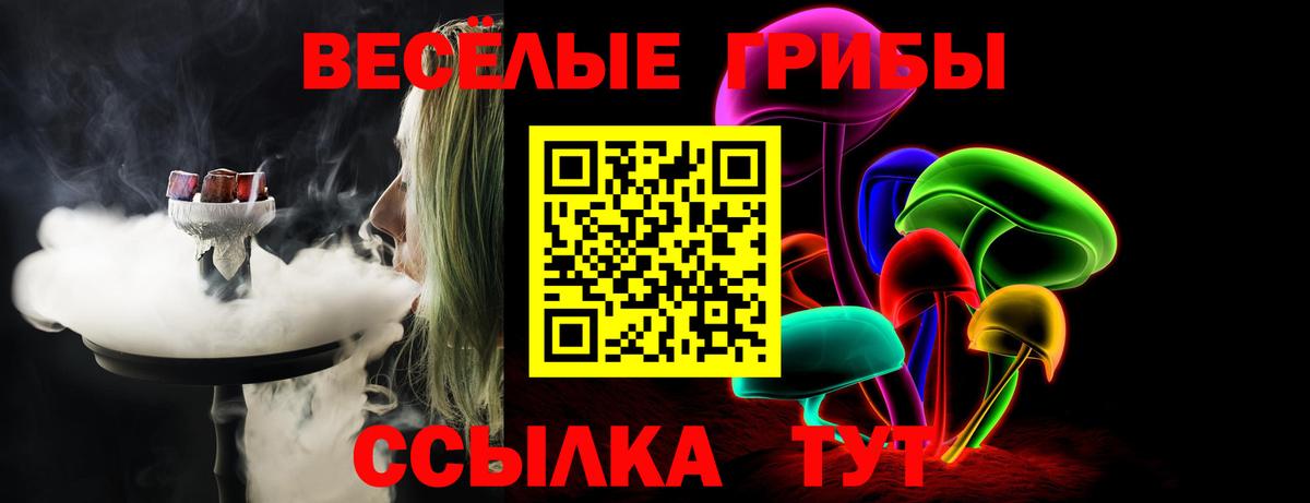 Псилоцибиновые грибы ЛСД Сосновый Бор